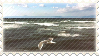 TL beach stamp